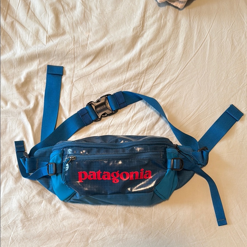 Patagonia Fanny Pack